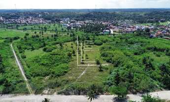 Imagem 4: Área de 30.000m² com 100 metros de frente para o mar em São Miguel dos Milagres-AL
