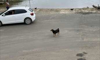 Imagem 2: Casa Casa com 5 dormitórios