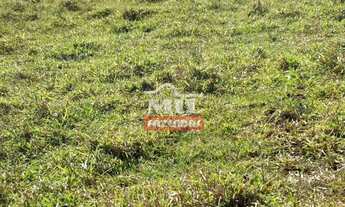 Imagem 2: Fazenda 33 alqueires (159,72 hectares) Edeia - GO