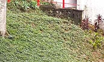 Imagem 2: Descubra o refúgio dos sonhos em uma das áreas mais encantadoras de Itaipava