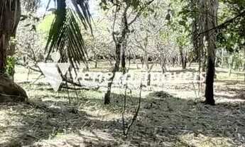 Imagem 3: Sitio na Estrada da Usina Santana a Venda