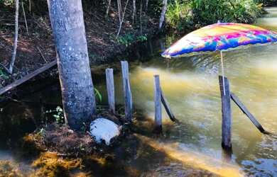 Imagem 3: Vendo sítio no km 19 da 070 Manoel Urbano