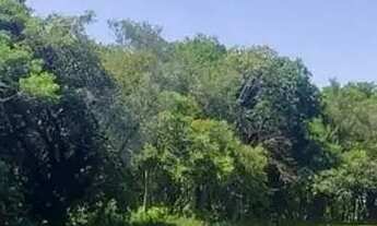 Imagem: Terreno em Gravataí/RS