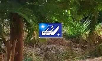 Imagem 6: TERRENO COM EXCELENTE VISTA