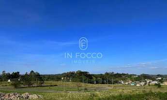 Imagem 5: Terrenos - Borghetto