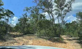 Imagem 7: Fazenda Bnito município de Januária-MG