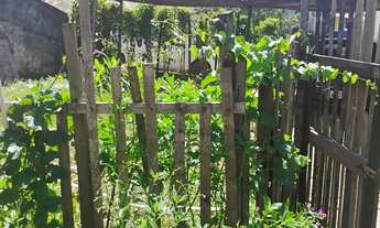 Imagem 3: Casas pra vender