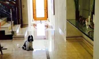 Imagem 2: CASA EM CONDOMÍNIO - ALPHAVILLE - SP