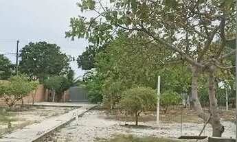 Imagem 5: SITIO DE 3/4 EM AREMBEPE