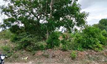 Imagem 2: Disponível para venda!!