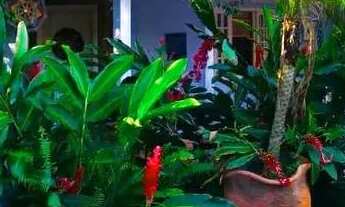 Imagem 4: Casa 3 Quartos com 1 Suíte