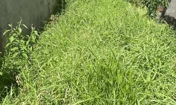 Imagem 6: Residencial - Jardim Do Libano