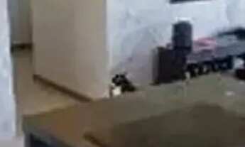 Imagem 6: APARTAMENTO - CIDADE JARDIM - SP