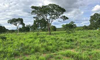 Imagem: Fazenda de 180 hectares dupla aptidão negócio