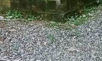 Imagem 6: Troco Casa com 4 dormitórios