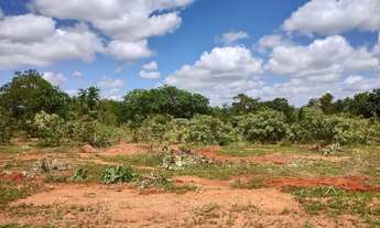 Imagem: Fazendinhas Planas com 20.000m2 às Margens