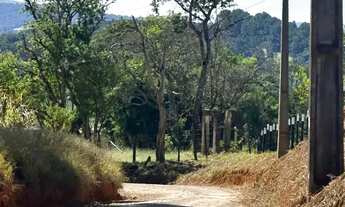 Imagem 2: Bairro Colégio Terreno / lote com venda por R$35.555