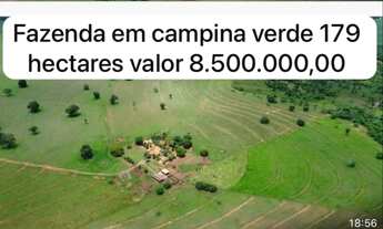 Imagem 3: Fazenda dupla aptidão campina verde