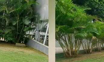 Imagem 7: CHÁCARA FINAIS DE SEMANA, FERIADO E RETIROS