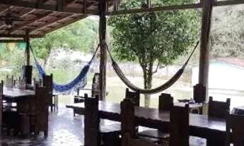 Imagem 3: Chácara com piscina, tanque de peixe em Antonina Rio do nunes