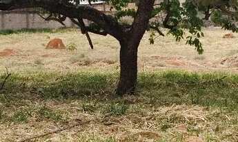 Imagem 6: Excelente lote na Ponte Alta Norte Gama