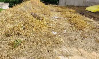 Imagem 4: Vende se terreno na Vila Dos Eucaliptos