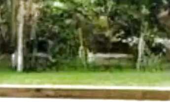 Imagem 5: CASA DE ALTO PADRÃO COM VISTA PARA O MAR ILHA DO FRADE VITORIA