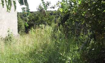 Imagem 3: Linda chácara de 3 mil metros todo terra de cultivo * WhtsAPP Guilherme