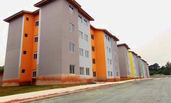 Imagem 2: COLOMBO - Apartamento Padrão - Roça Grande