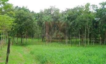 Imagem 7: Blumenau - Chácara - Nova Russia