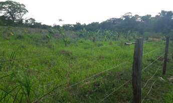 Imagem 3: Chácara de 3,5 Hectares. Banhada pelo Rio Varadouro