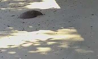 Imagem 2: Casa de praia em angra dos Reis alugue temporada e anual