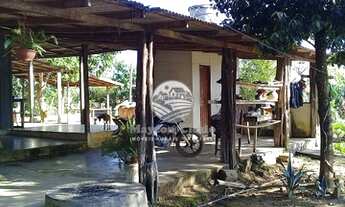 Imagem 6: Alto Paraíso - Chácara - Mini chácara top