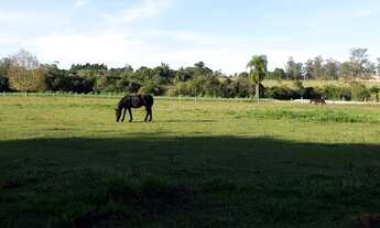 Imagem 3: Espetacular Sítio na 239 em Araricá, área NOBRE