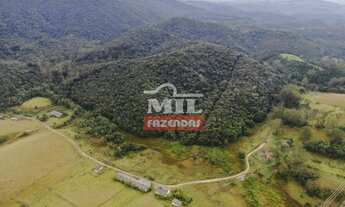Imagem 6: Fazenda 109 alqueires ( 265 Hectares ) - São Lourenço da Serra - SP
