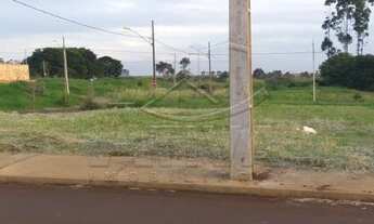 Imagem: Toledo - Lote/Terreno - Pinheirinho