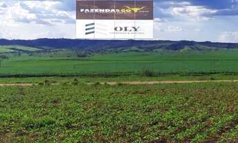 Imagem 2: Área Rural Premium - Em Catalão-GO ! 894 HECTARES