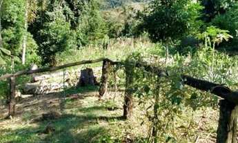 Imagem: Chácara à venda em Rolante de 3 hectares