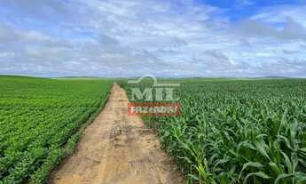 Imagem 3: Fazenda em Ulianópolis-PA. Área Total: 1.320 Hectares