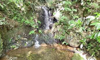 Imagem 3: Sitio a venda em Benedito Novo