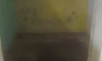 Imagem 2: Casa Casa com 2 dormitórios