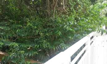 Imagem 3: Apartamento para aluguel com 39 metros quadrados com 1 quarto em Jardim Ampliação - São Pa