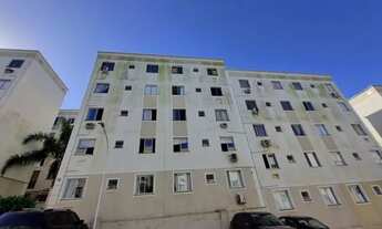 Imagem 3: Apartamento com 2 quartos para alugar por R$ 890.00, 42.85 m2 - FLORESTA - JOINVILLE/SC