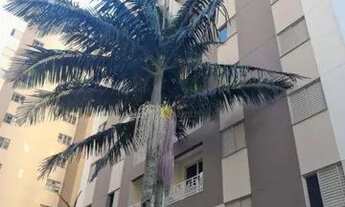 Imagem 7: Apartamento com 3 dormitórios para alugar, 70 m² por R$ 2.460,00/mês - Vila Baeta Neves