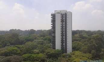 Imagem 5: APARTAMENTO - ALTO DA BOA VISTA - SP