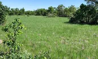 Imagem 7: Fazenda para Venda em Poconé, Zona Rural, 3 dormitórios, 2 banheiros