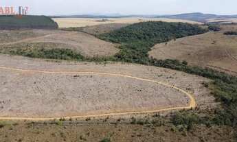 Imagem 6: Fazenda Lavoura para Venda em Centro Andrelândia-MG - 3144