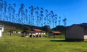 Imagem 7: FAZENDA PRODUTIVA, localizada em Capão Bonito e Guapiara/SP