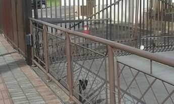 Imagem 4: Alugo apartamento 38 m2