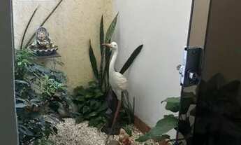 Imagem 7: CASA TÉRREA - VILA MARIANA - SP